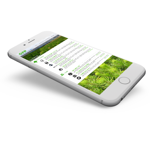 GFP Mobile Website Design