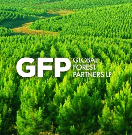 GFP Branding & Web Design