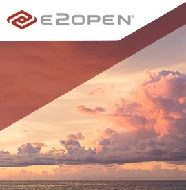 E2open Branding & Logo Design
