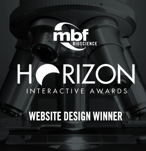 MBF Bioscience Website Design Award